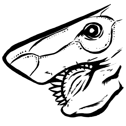 Helicoprion